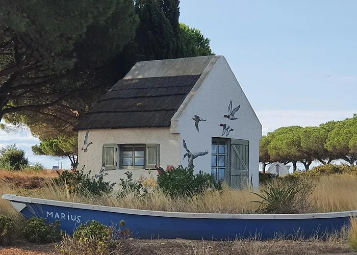 Palavas Les Flots Vue Mer
